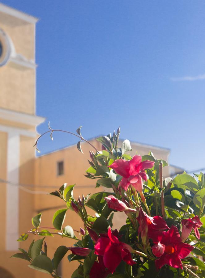 B&B San Trifone Adelfia Екстериор снимка